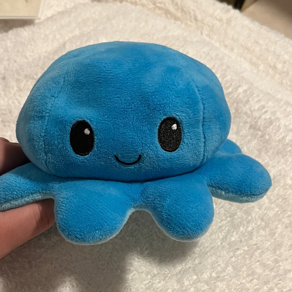 Tee Turtle Reversible Blue and Teal
